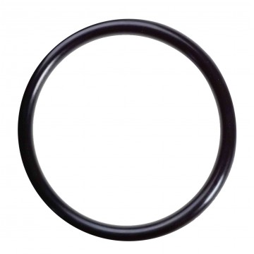 O-Ring M25x1.5